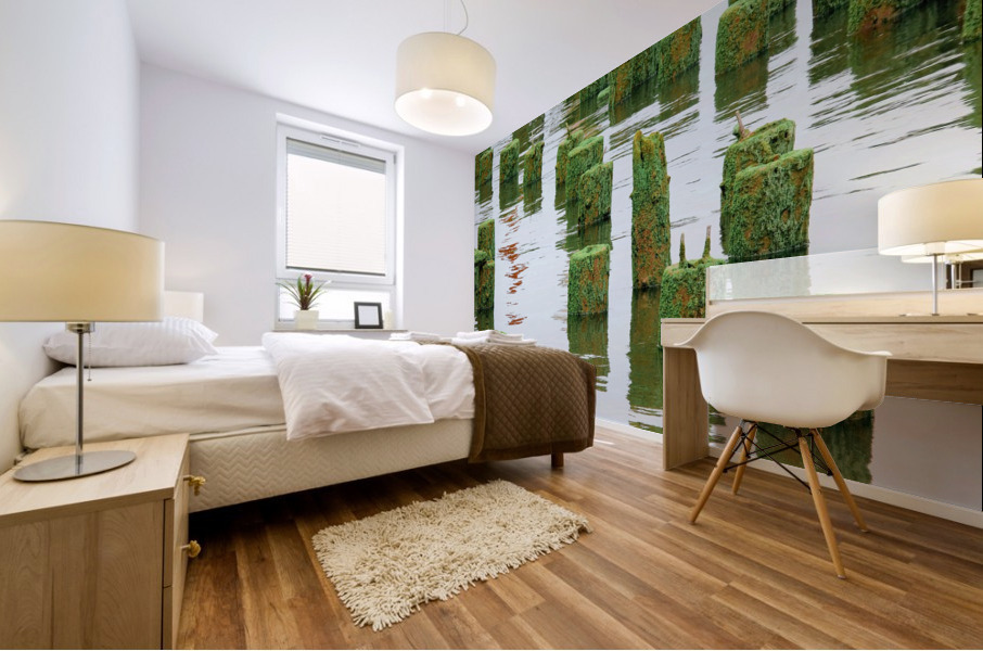 Abandoned Pier Mural print