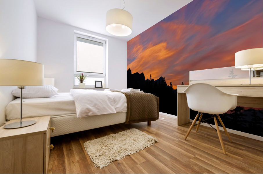 Canadian Sky Mural print