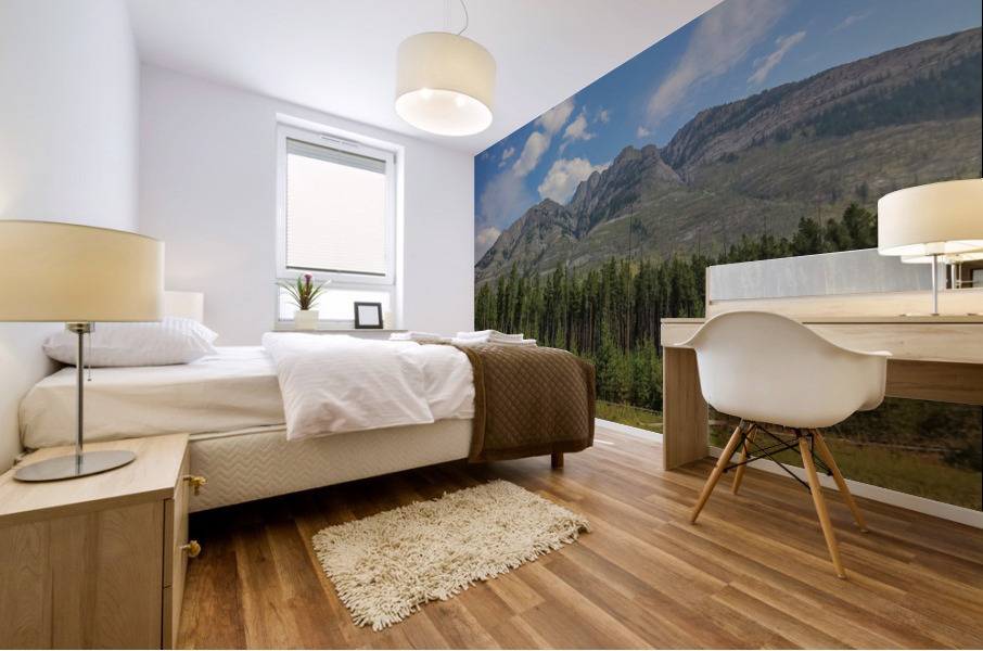 Canadian Rockies 2 Mural print