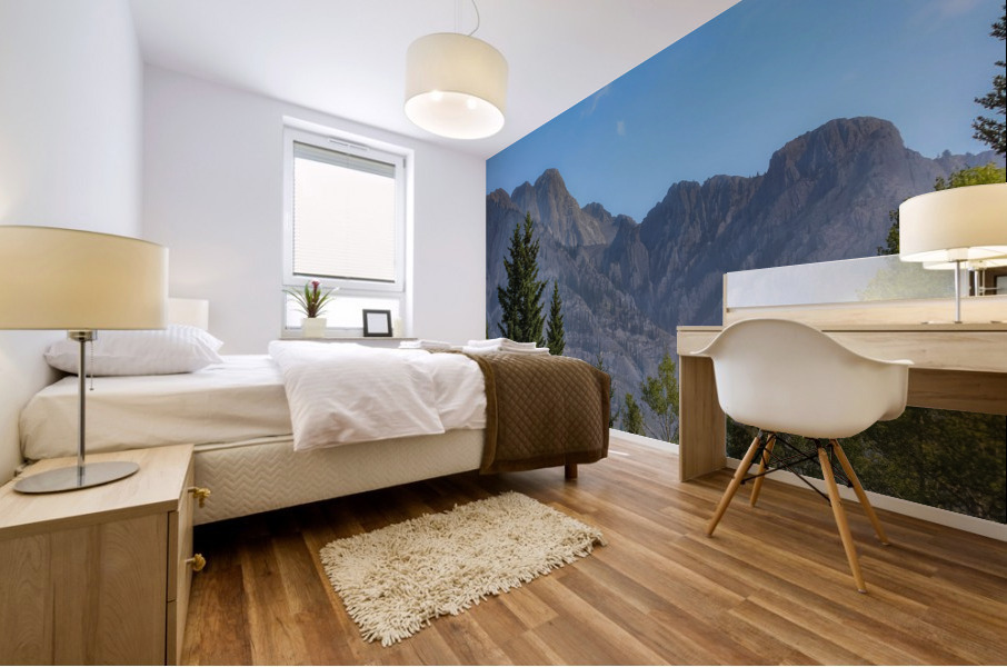 Canadian Rockies Mural print
