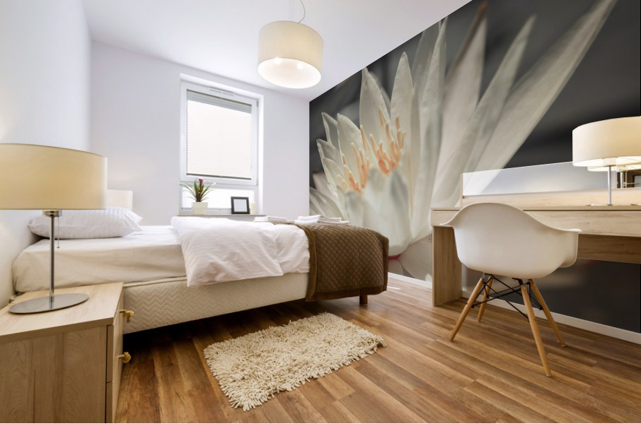 Water Lily Mural print