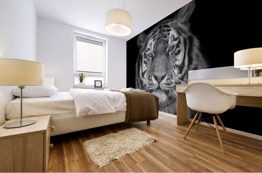 Blue eyes tiger face Mural print