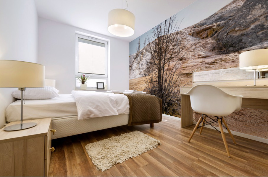 Hot springs Tree Mural print