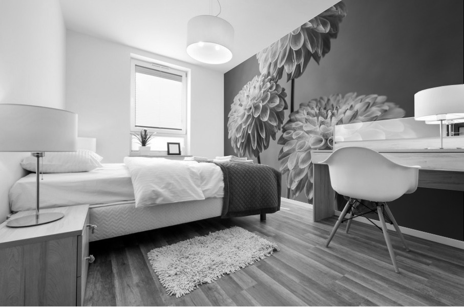 Three Dahlia flowers Mural print