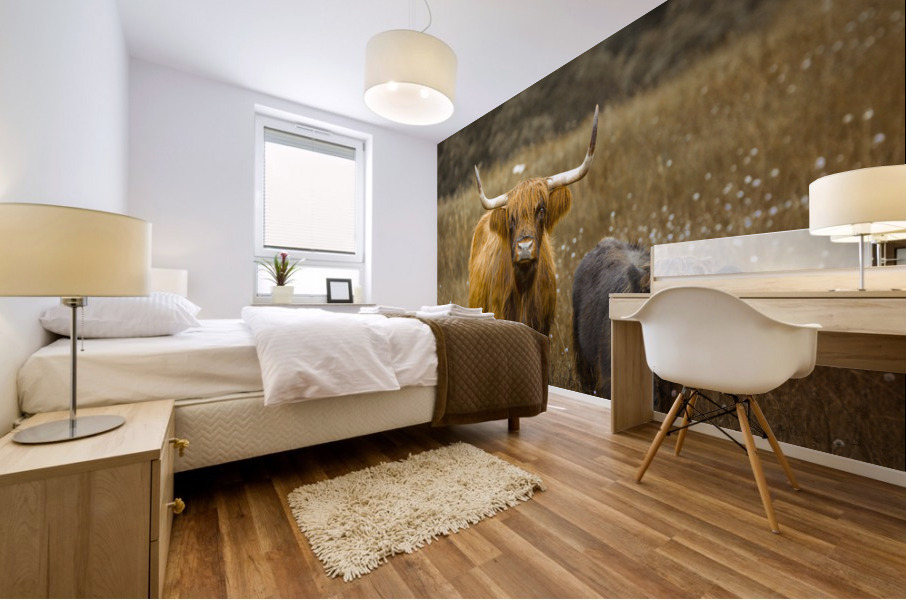 Highland Cows Mural print