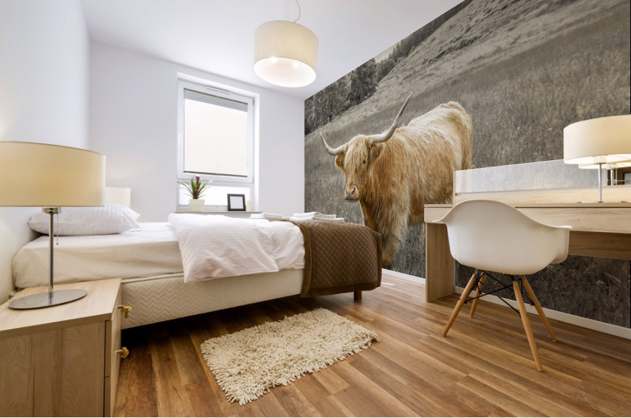 Highland Cows Mural print