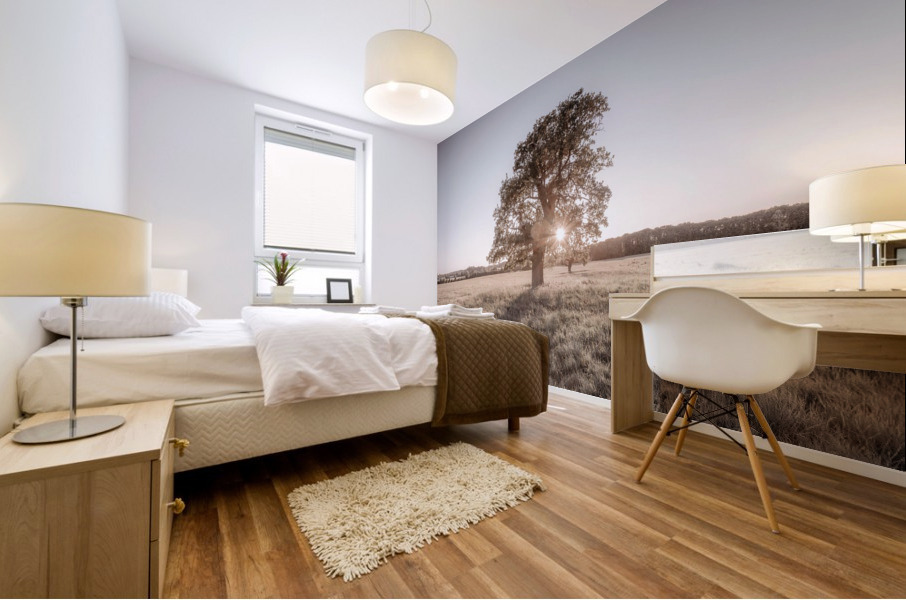 Sun shining through single tree Mural print