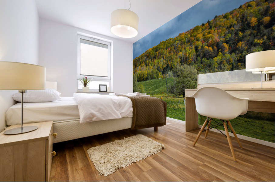 Cows and Colors Mural print