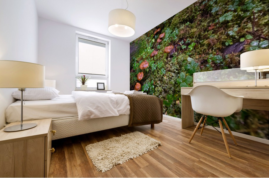Mushrooms Mural print