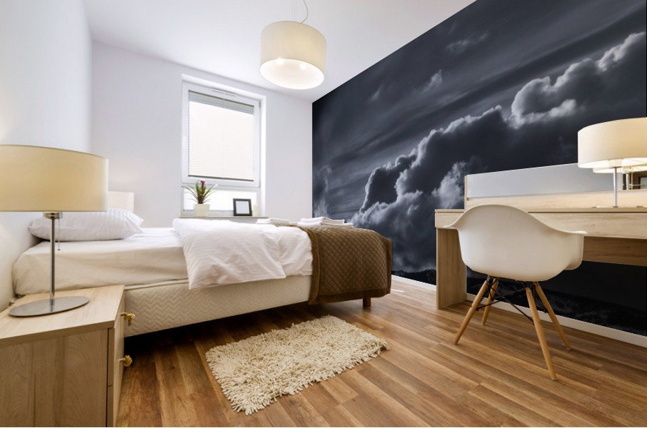 Storm Coming B&W Mural print