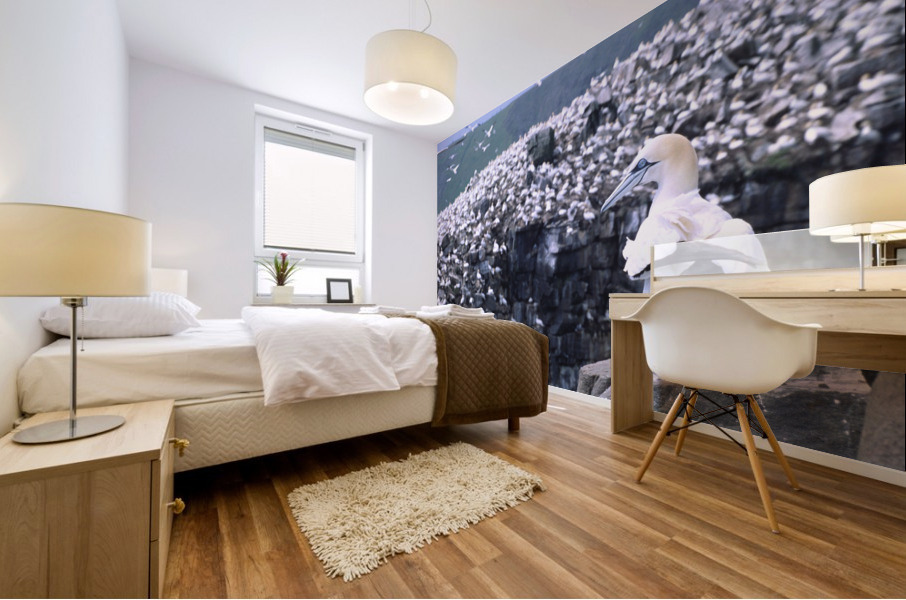 1st among equals Mural print