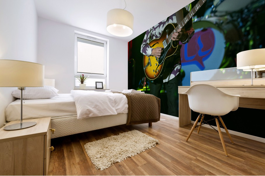 Steve Howe Mural print