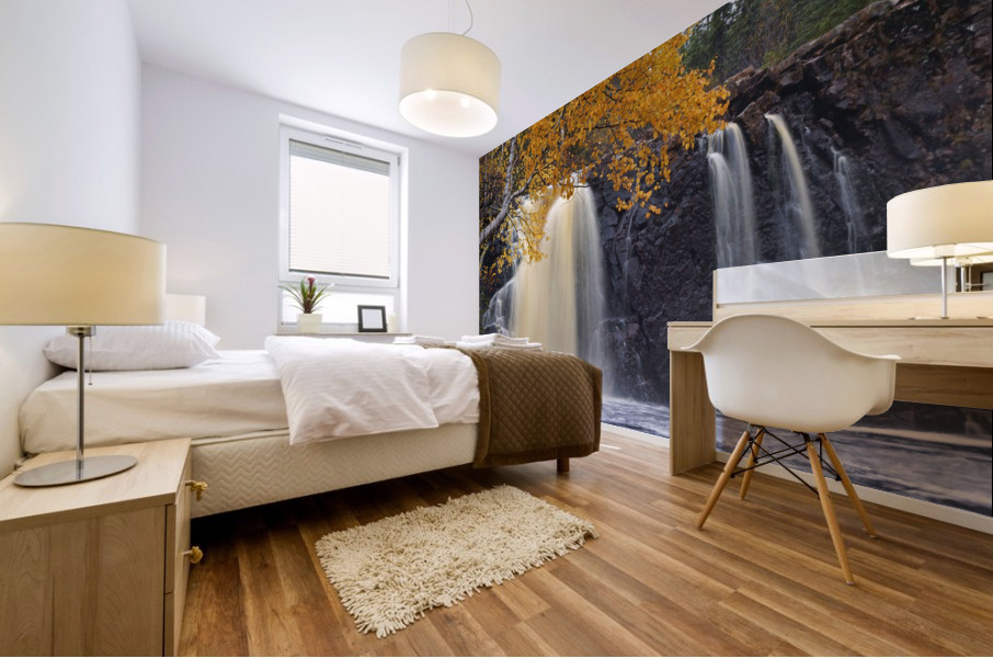 birchy falls Mural print