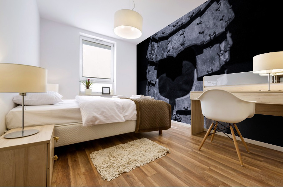 Warrior Headgear B&W Mural print