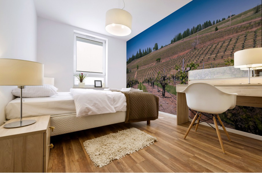 Lava Cap Vineyard Natural Mural print