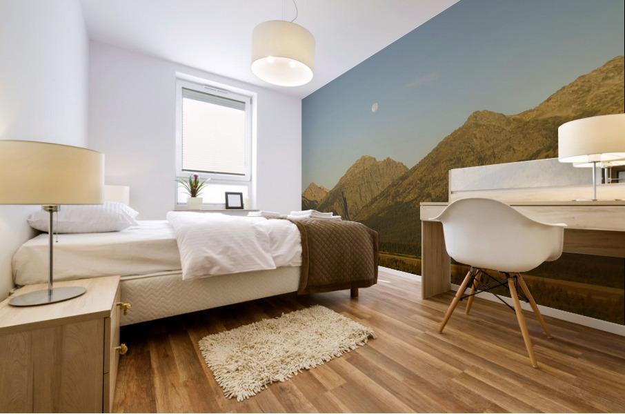 Desert Super Moon Mural print