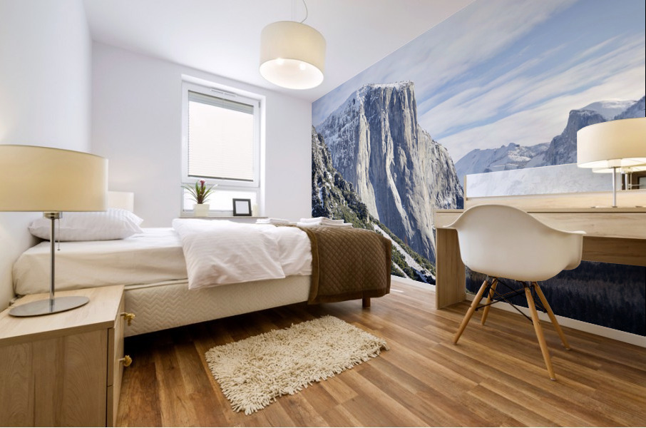 Yosemite Mural print