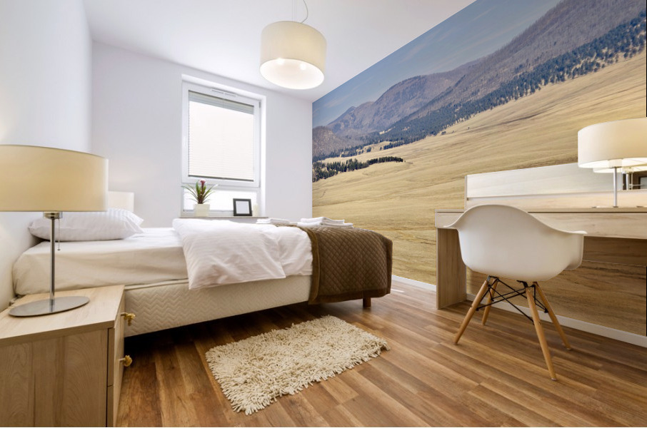 Valles Caldera National Preserve Mural print
