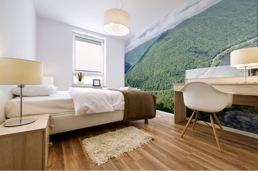 New River Gorge Mural print