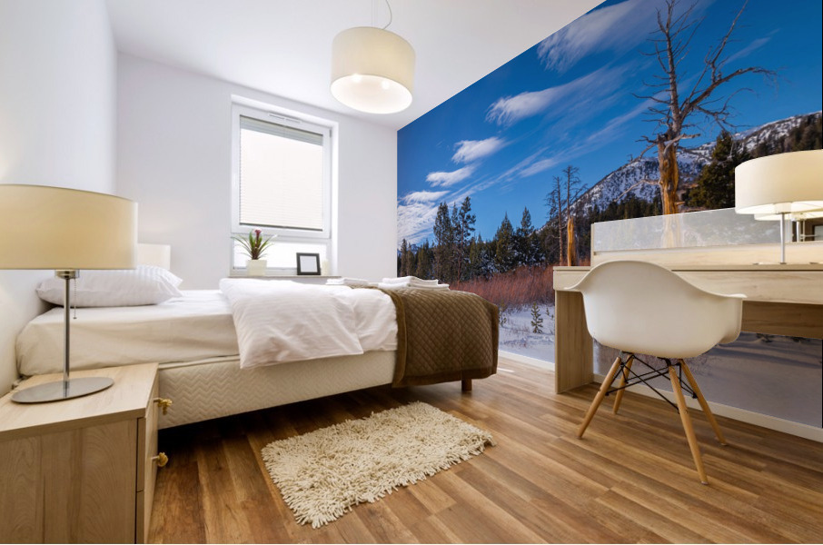 Interesting Clouds Mural print