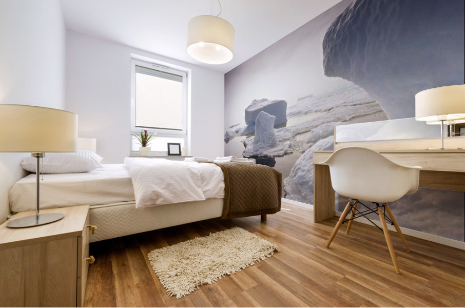 sea ice Mural print