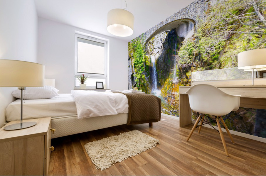 Hidden Falls - Waterfall Pacific Northwest USA Mural print