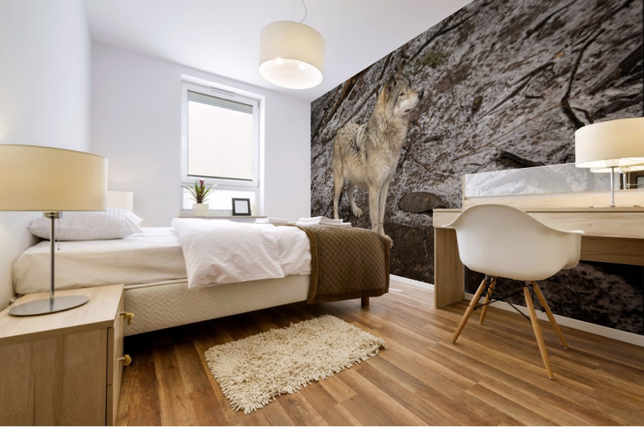 Grey Wolf Mural print