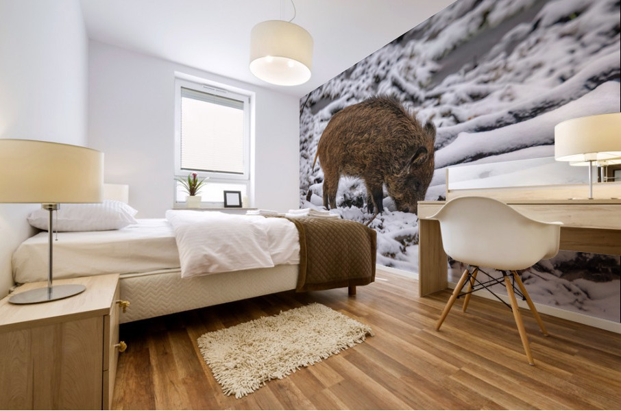 Sanglier Mural print