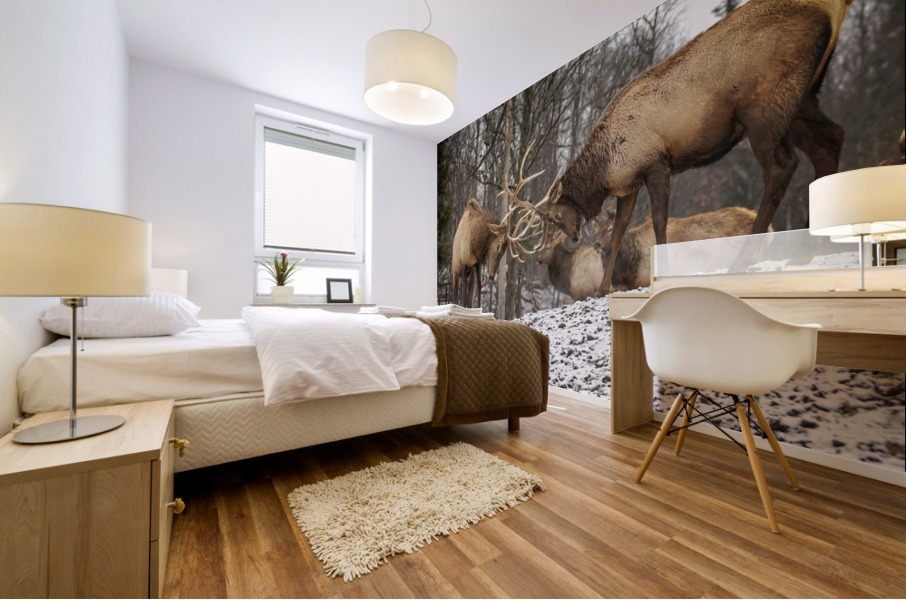 Elk Bucks Mural print