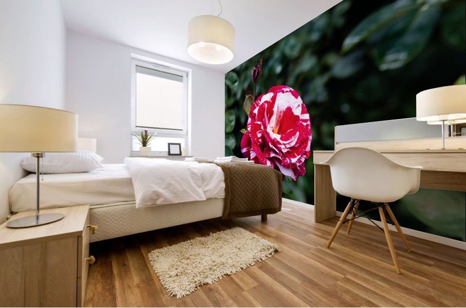 Rose Garden Portland 7 Mural print