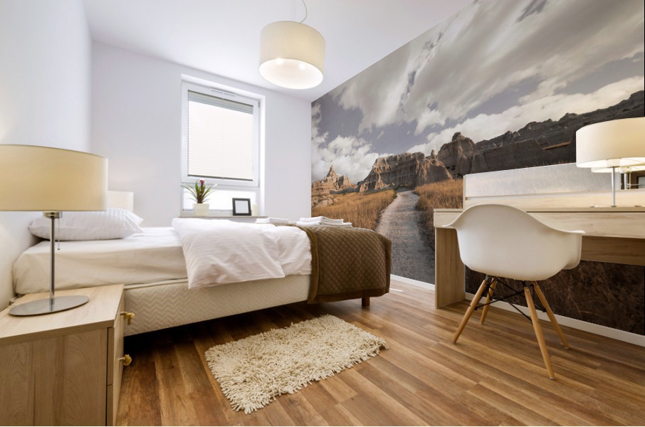 Badlands Mural print