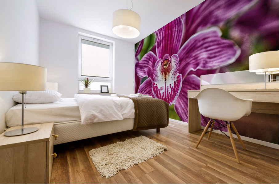 flower 12 Mural print