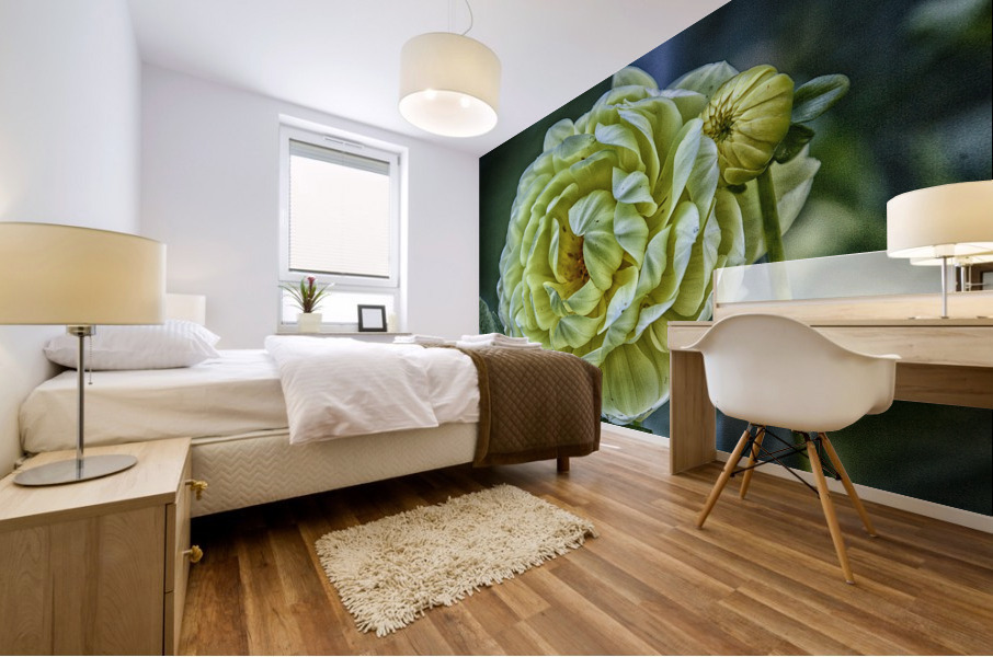 yellow dahlia Mural print