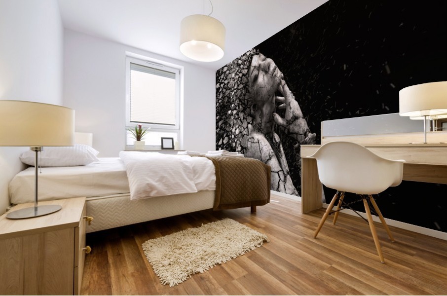 The Fragile Squaw Mural print