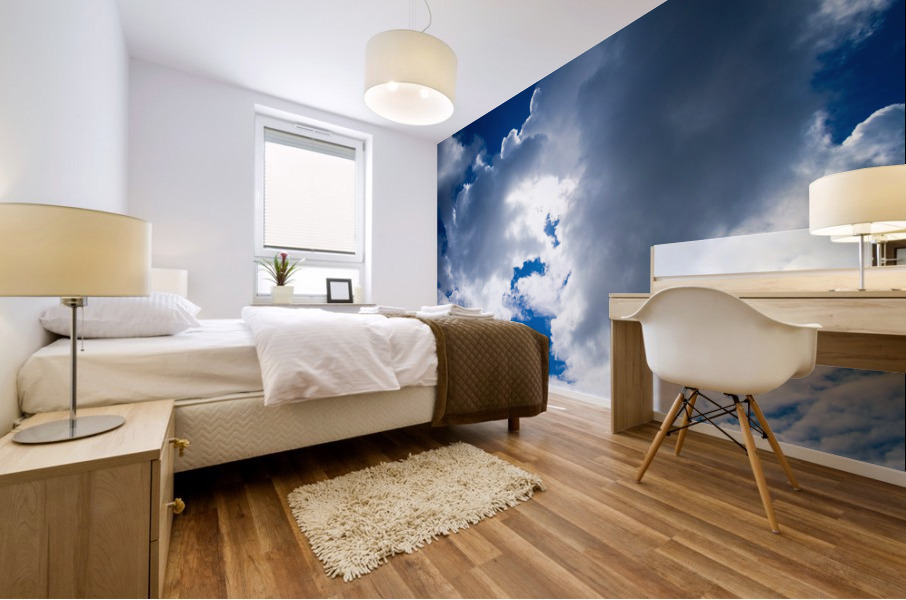 20190506 DSC 0315 Mural print