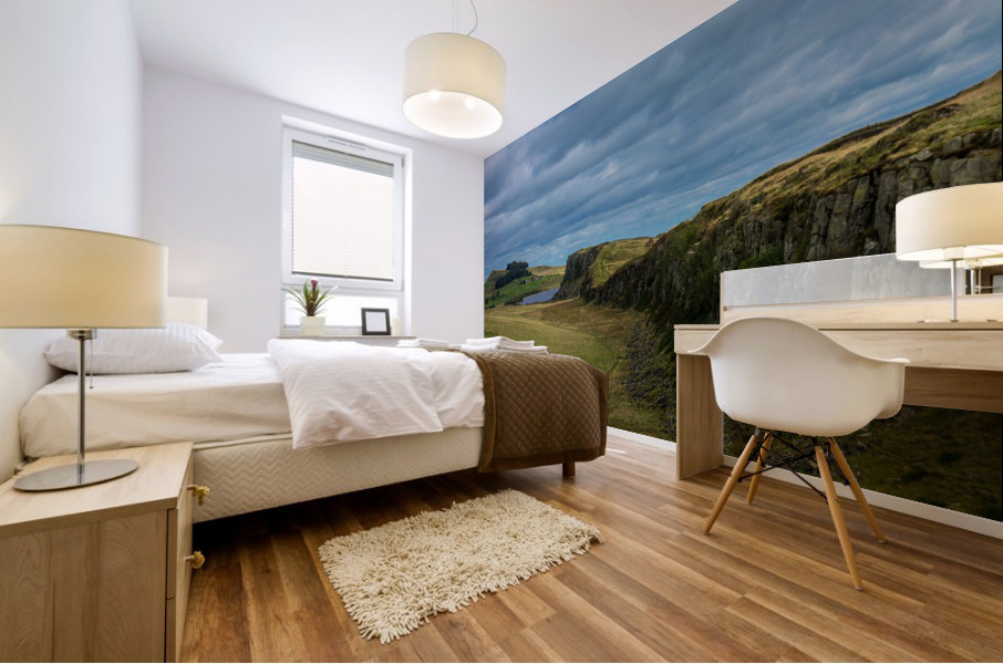 20190916 DSC 0273 Mural print