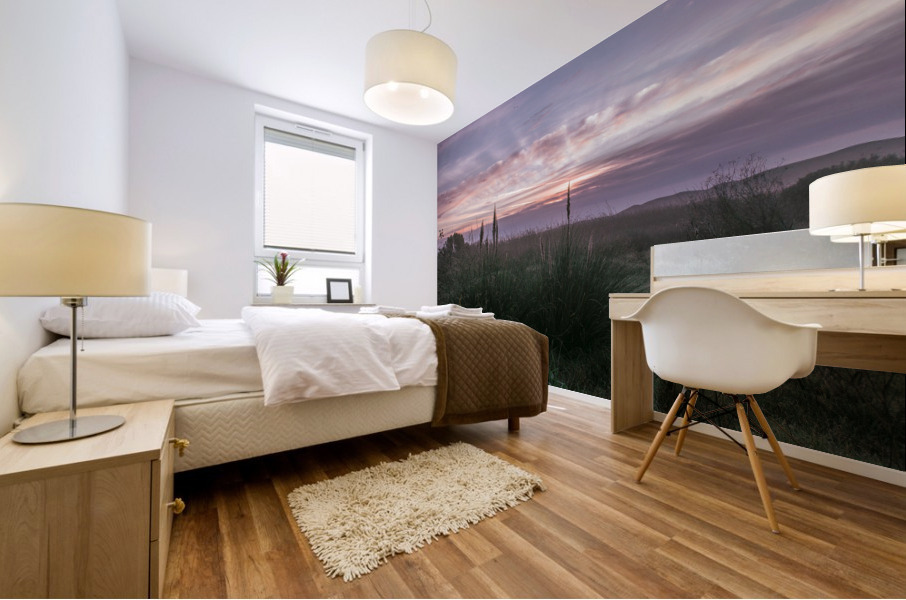 20200118 DSC 0114 Mural print