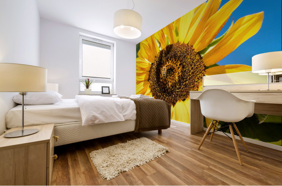 DSC 0149 1 2 Mural print