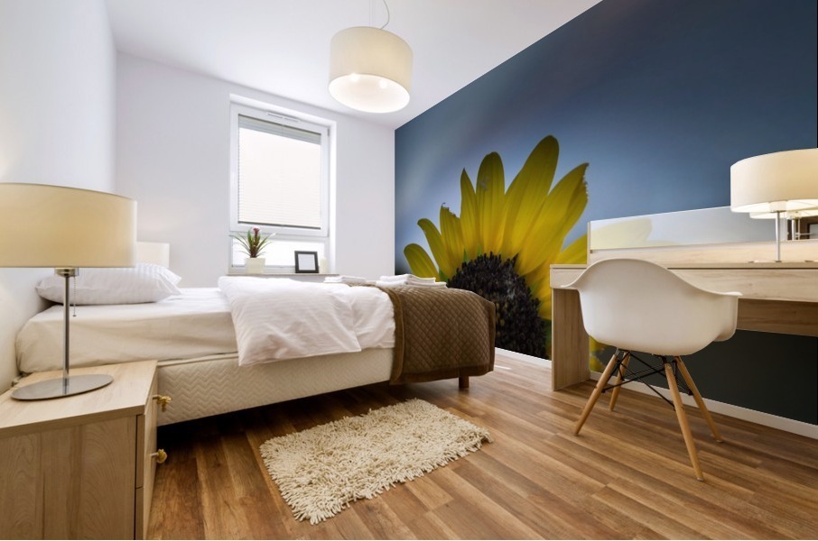 Imperfect Mural print