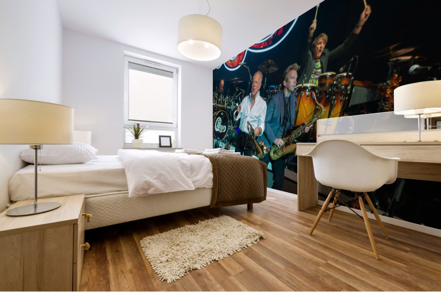 Chicago 4 Mural print