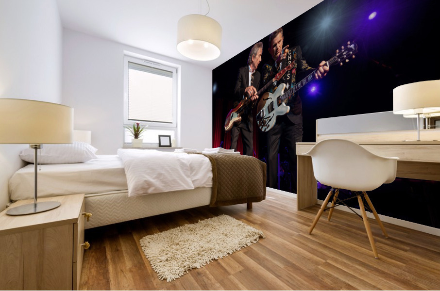 Chris Isaak and Rowland Salley  Mural print