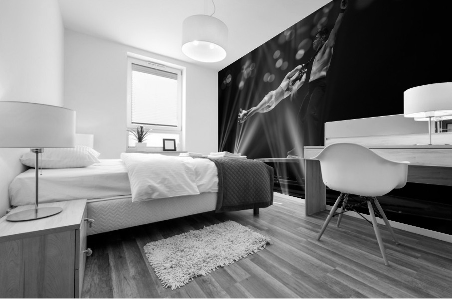 Cirque Le Noir Twirl B&W Mural print