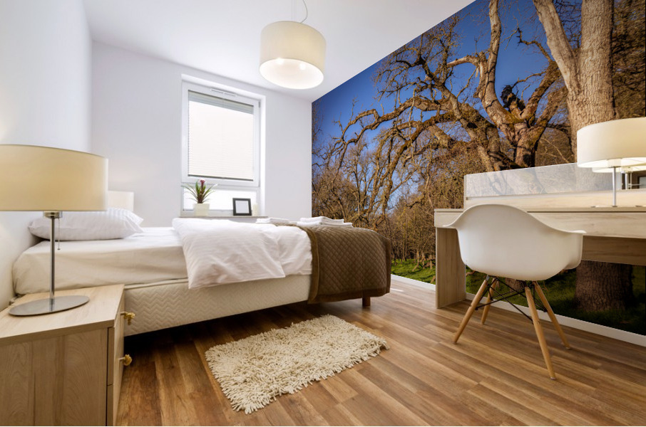 Wicked Branches 2 Mural print