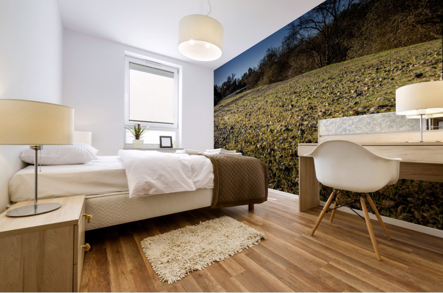 Dreggings  Mural print