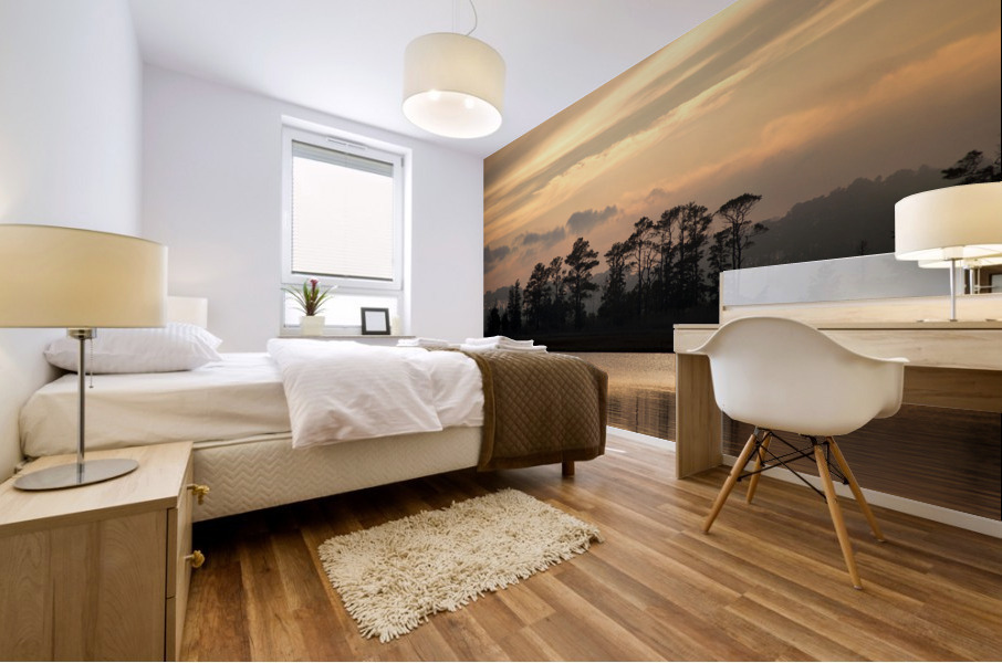 Misty Island of Assawoman Bay Mural print