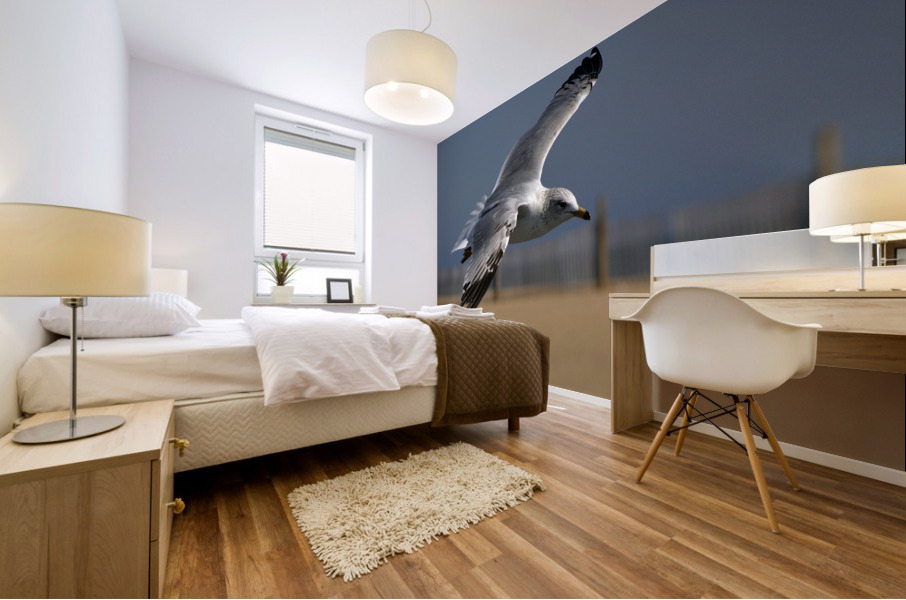 Seagull Cleared for  Landing at the Beach Mural print