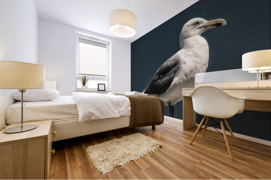 Seagull Portrait Almost Black and White Mural print