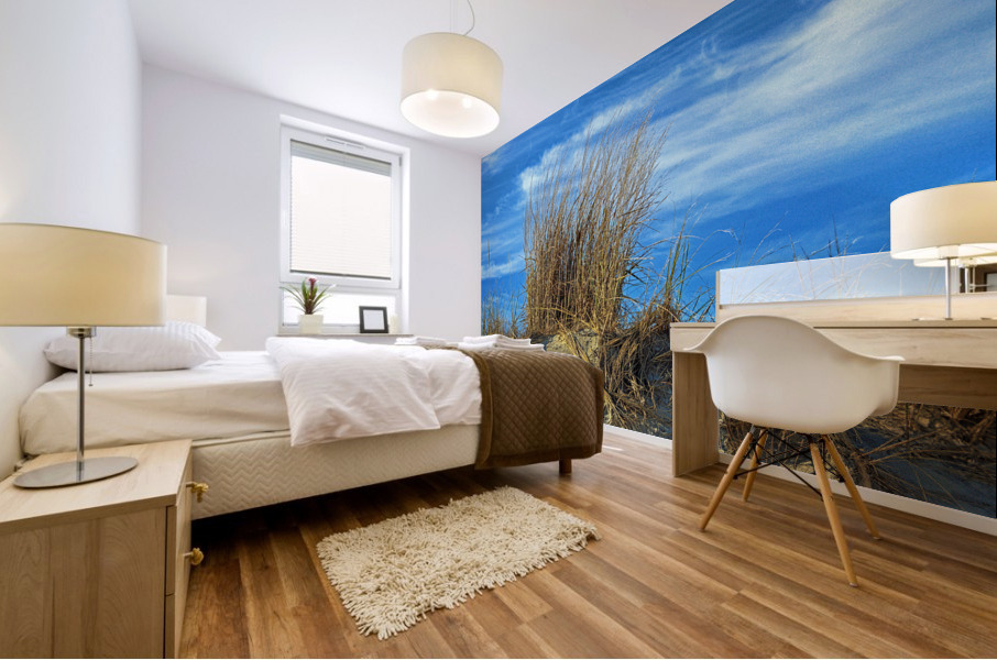 Dune Grass above an Atlantic Ocean Beach Mural print
