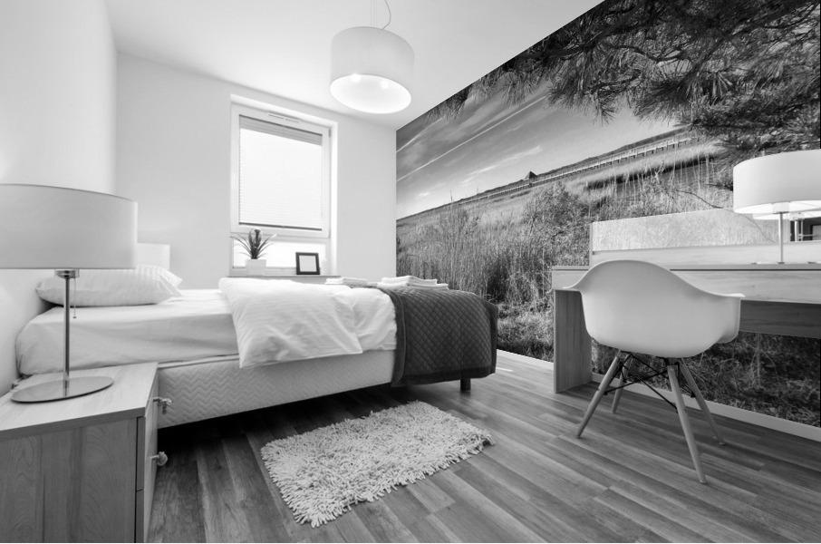 Northside Park Pier and Marsh in Black and White Mural print