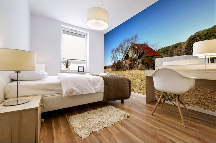 Abandoned Farmhouse and Barn in Williamsville DE Mural print